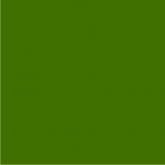 Pastelka Polychromos/278 chromová zeleň